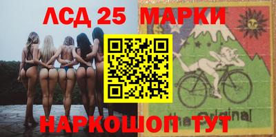 скорость Кингисепп