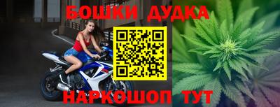 скорость Кингисепп