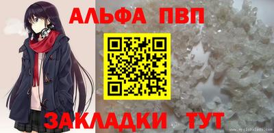 скорость Кингисепп